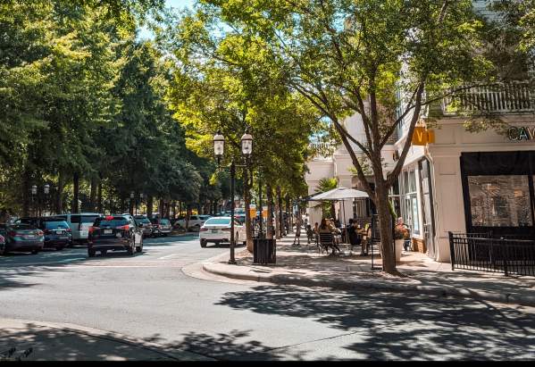 A tree-lined city street with cars parked along the curb. People sit at outdoor tables of a café on the right side, enjoying a sunny day. Street lamps and shops are visible amid leafy green trees.