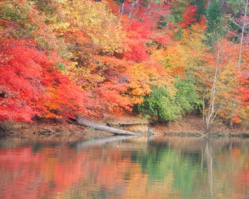 Lake Wylie-Lake Wylie, on the North Carolina/South Carolina border, in autumn.